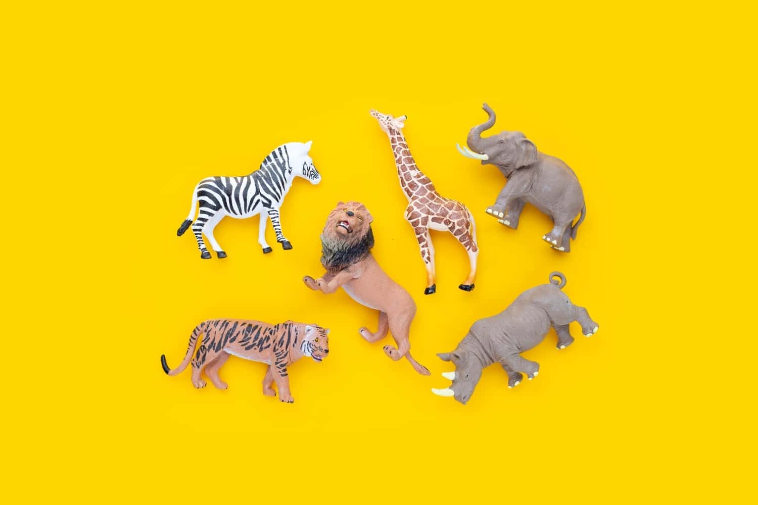 Dierentuin
