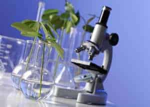 Junior Campus OOL lessenserie Biologie - microscoop en plant - onderzoekend en ontwerpend leren