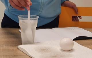 Onderzoekend leren Blijft een ei drijven in zout water?