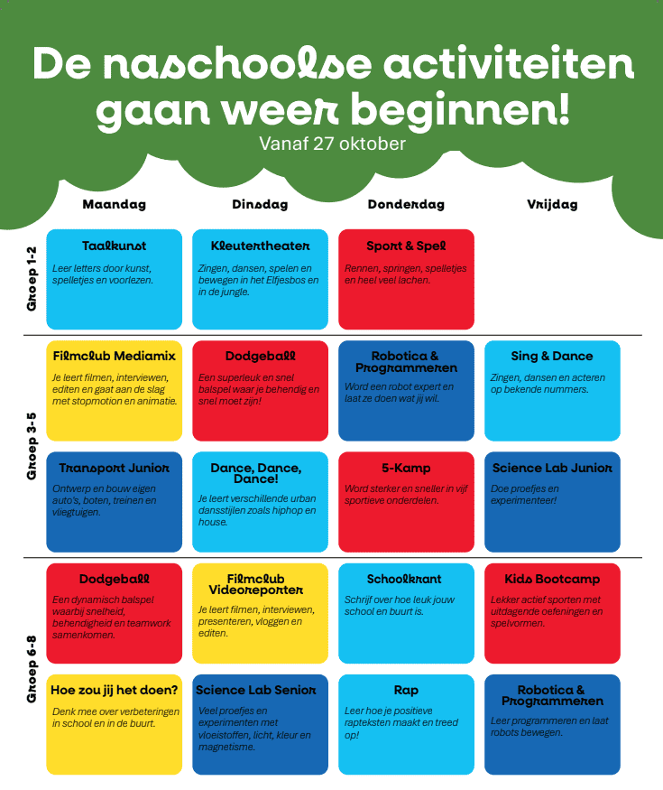 flyer 2 website